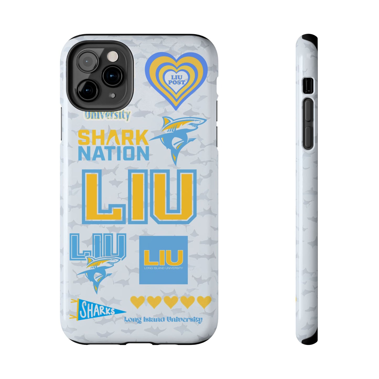 Long Island University
