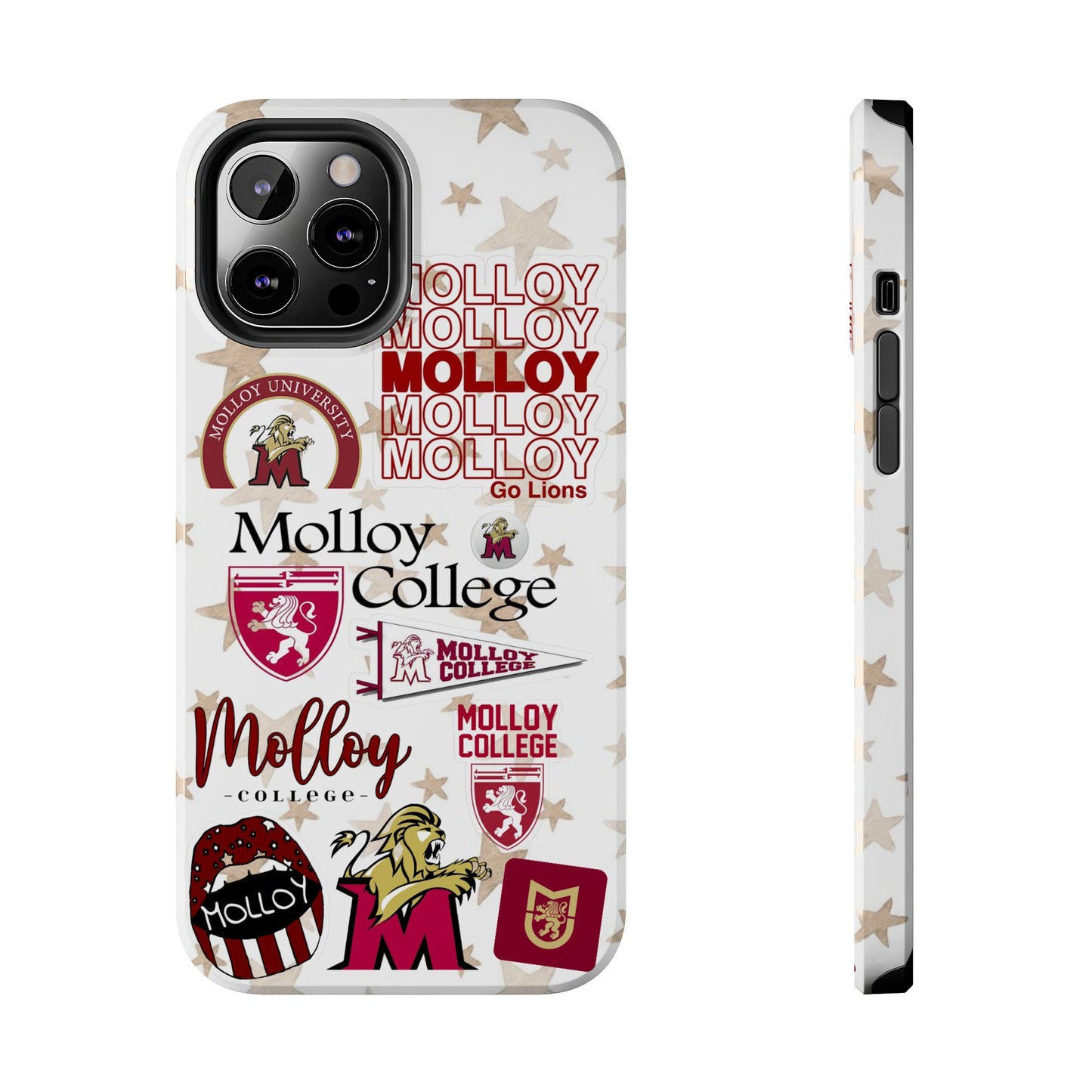 Molloy College
