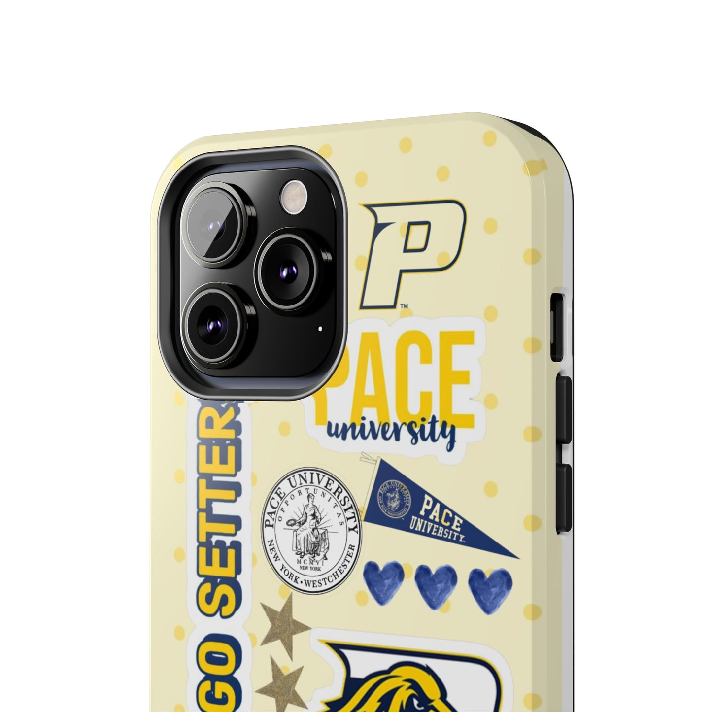 Pace University