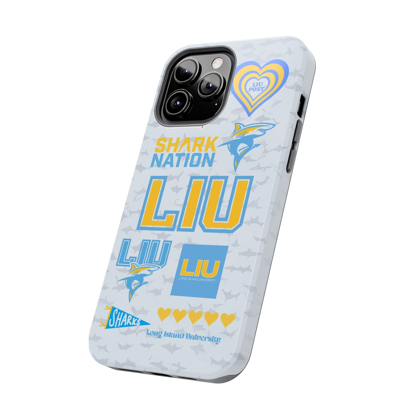 Long Island University