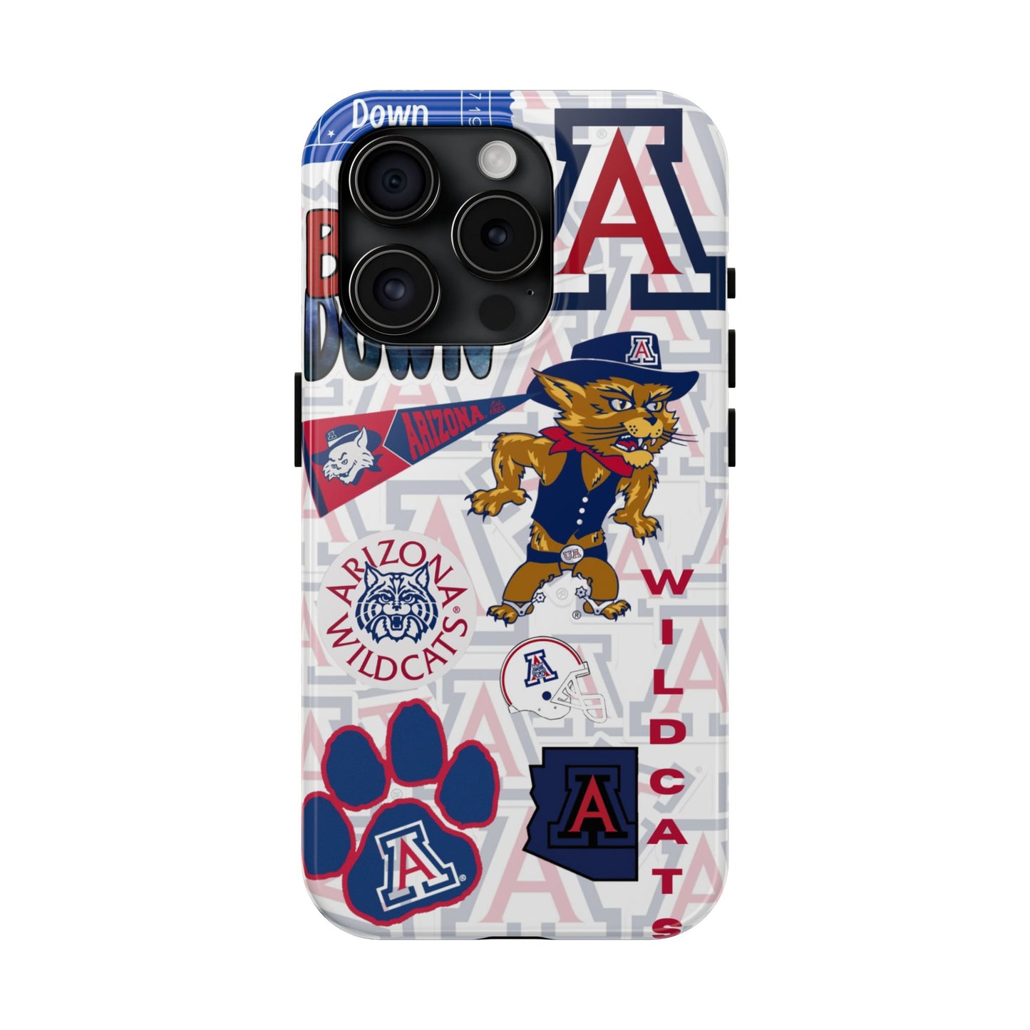 University of Arizona