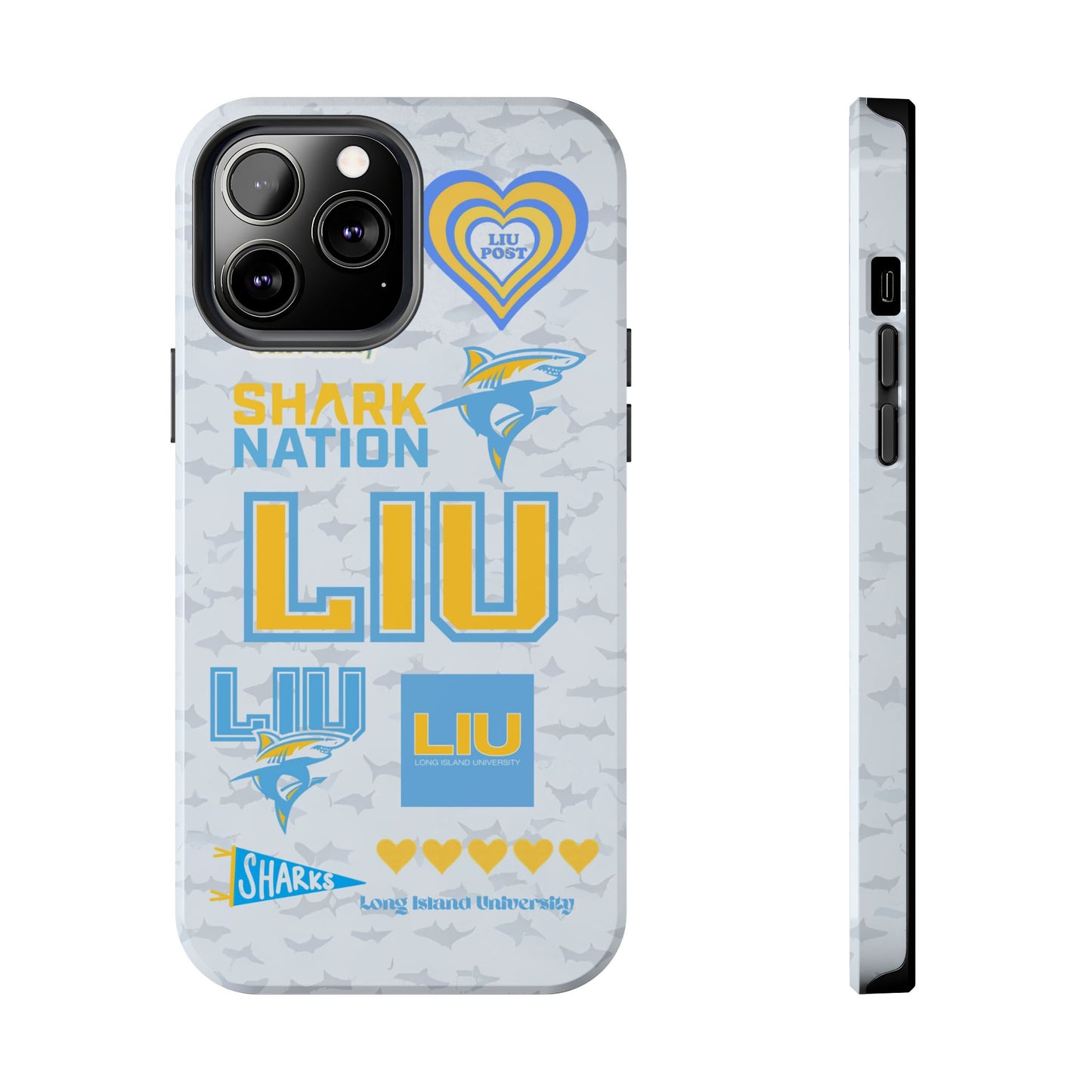 Long Island University