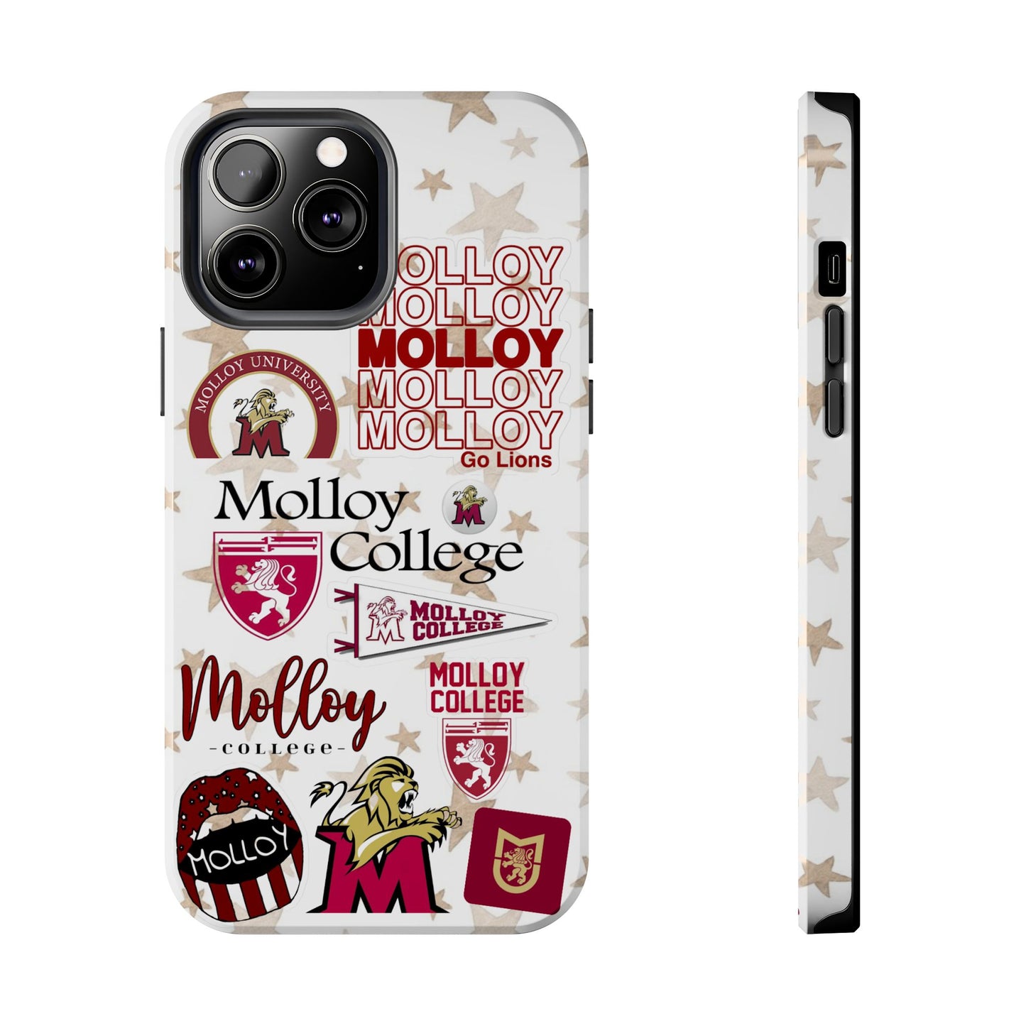 Molloy College