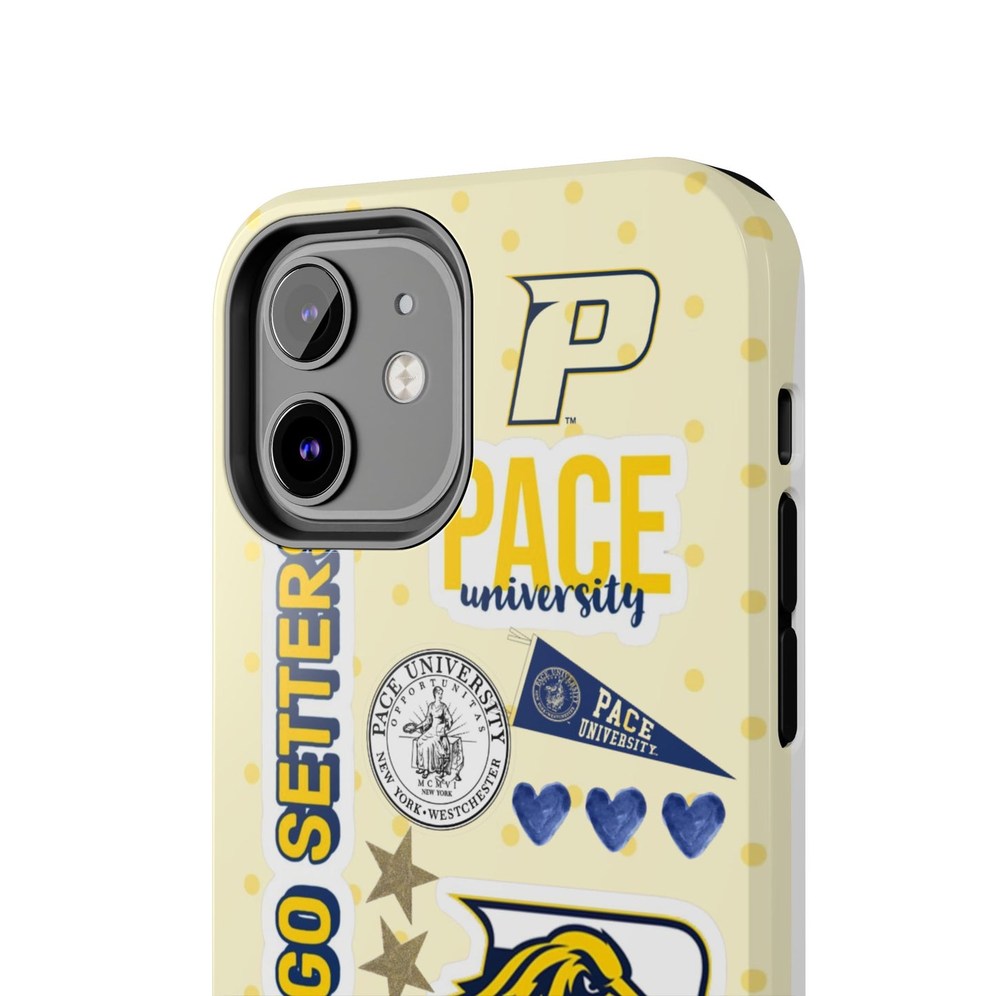 Pace University