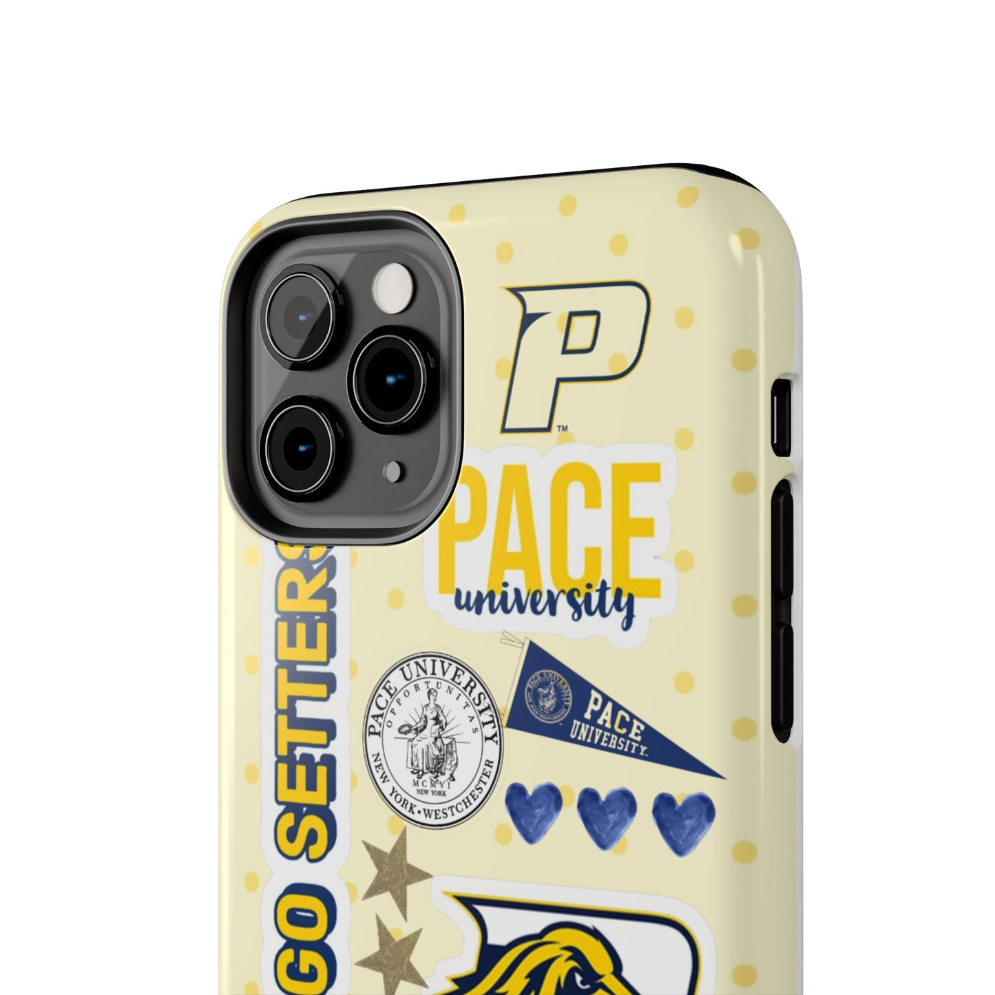 Pace University