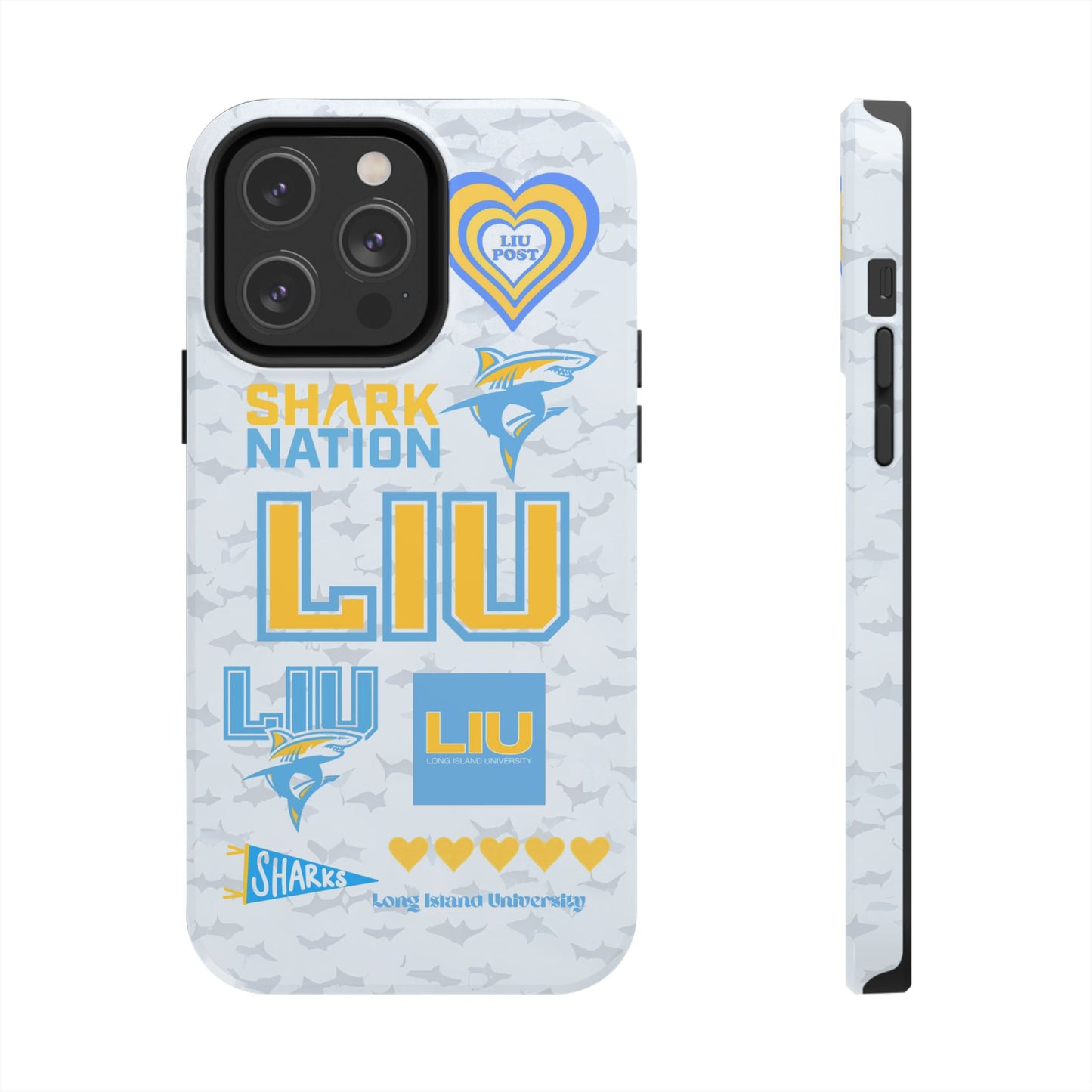 Long Island University