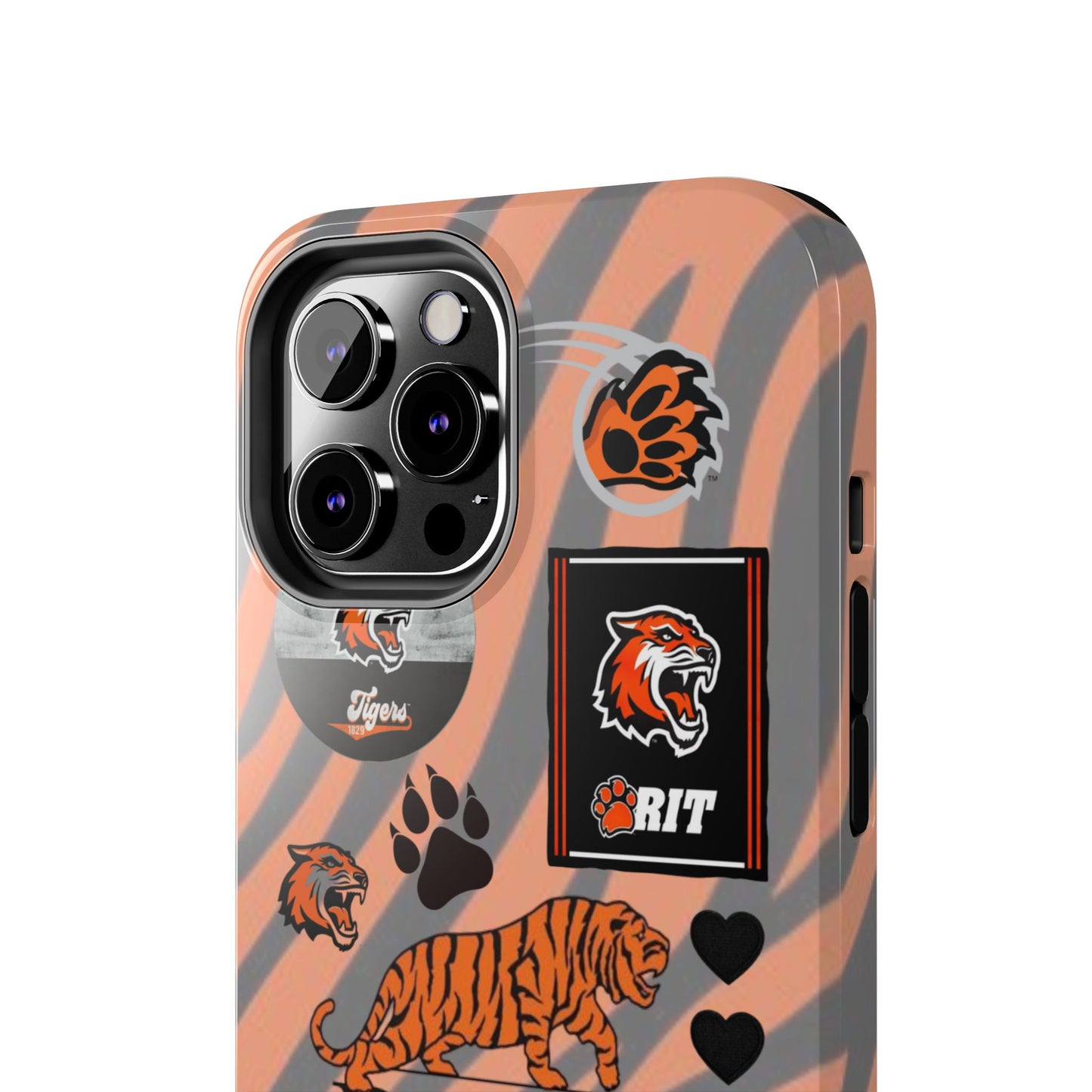 Rochester Institute of Technology