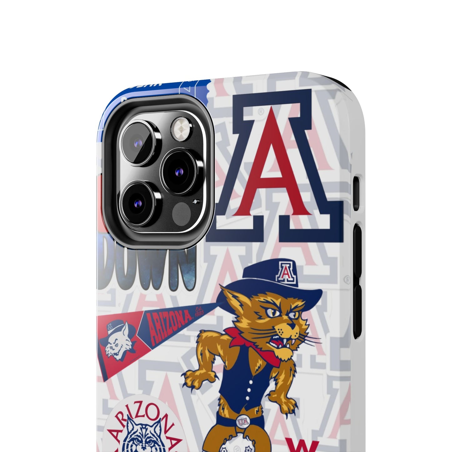 University of Arizona