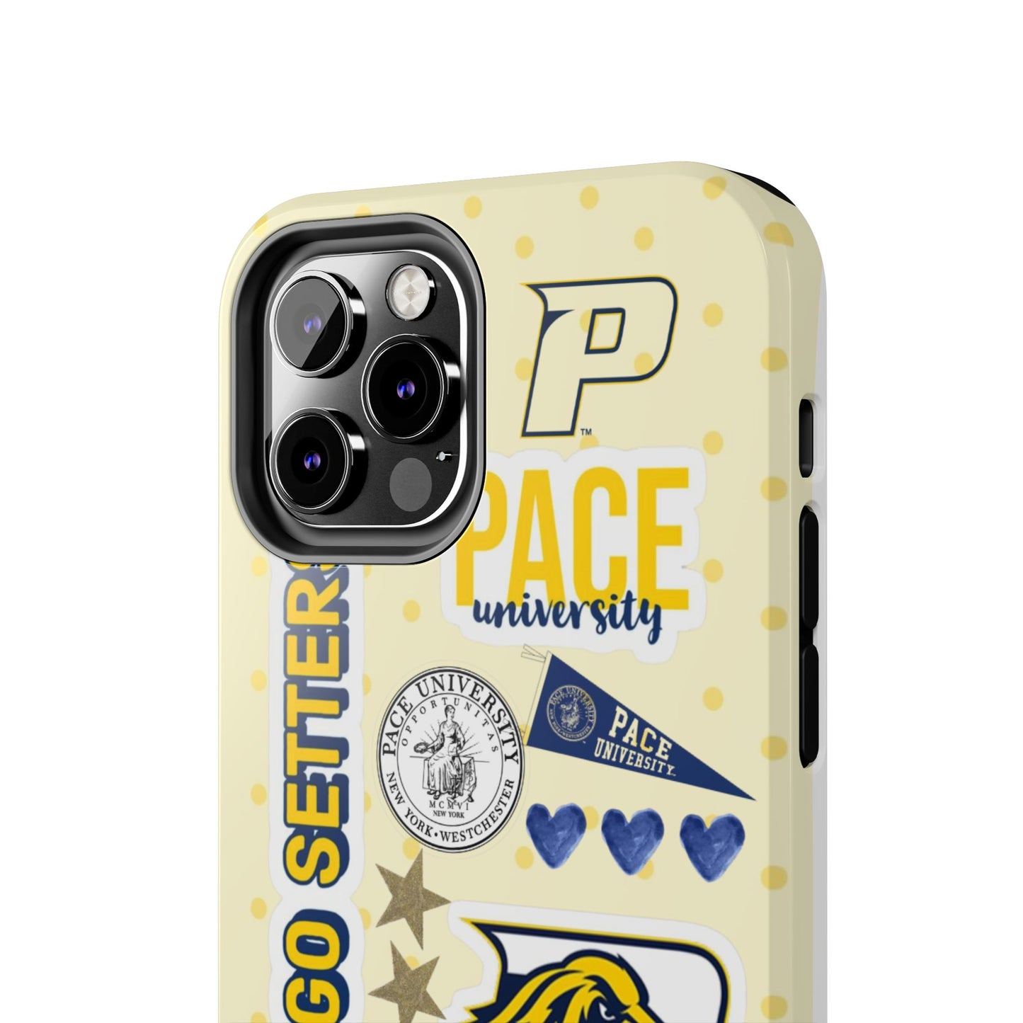 Pace University