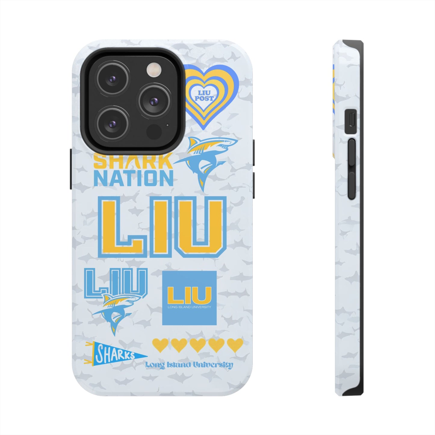 Long Island University