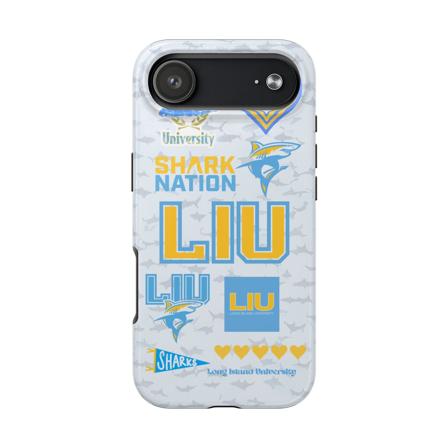 Long Island University