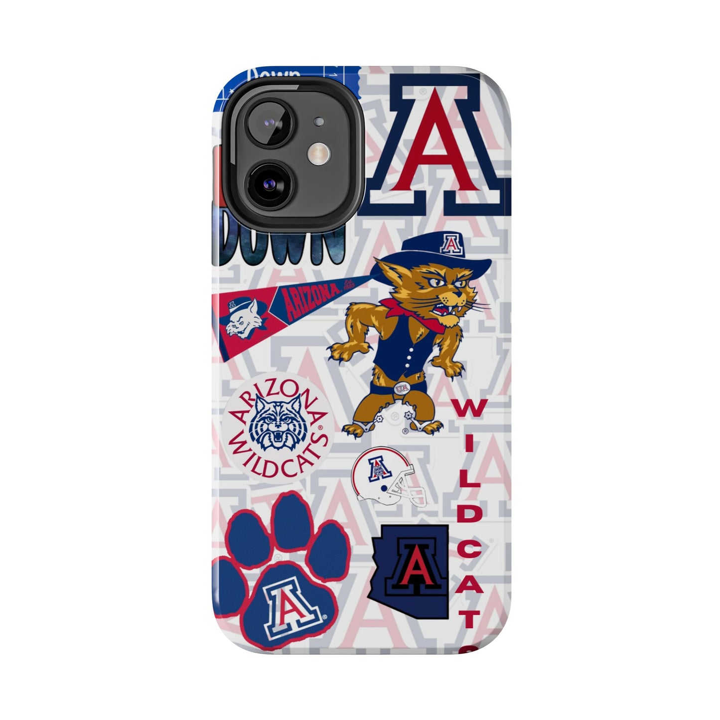 University of Arizona