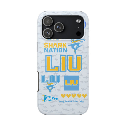 Long Island University