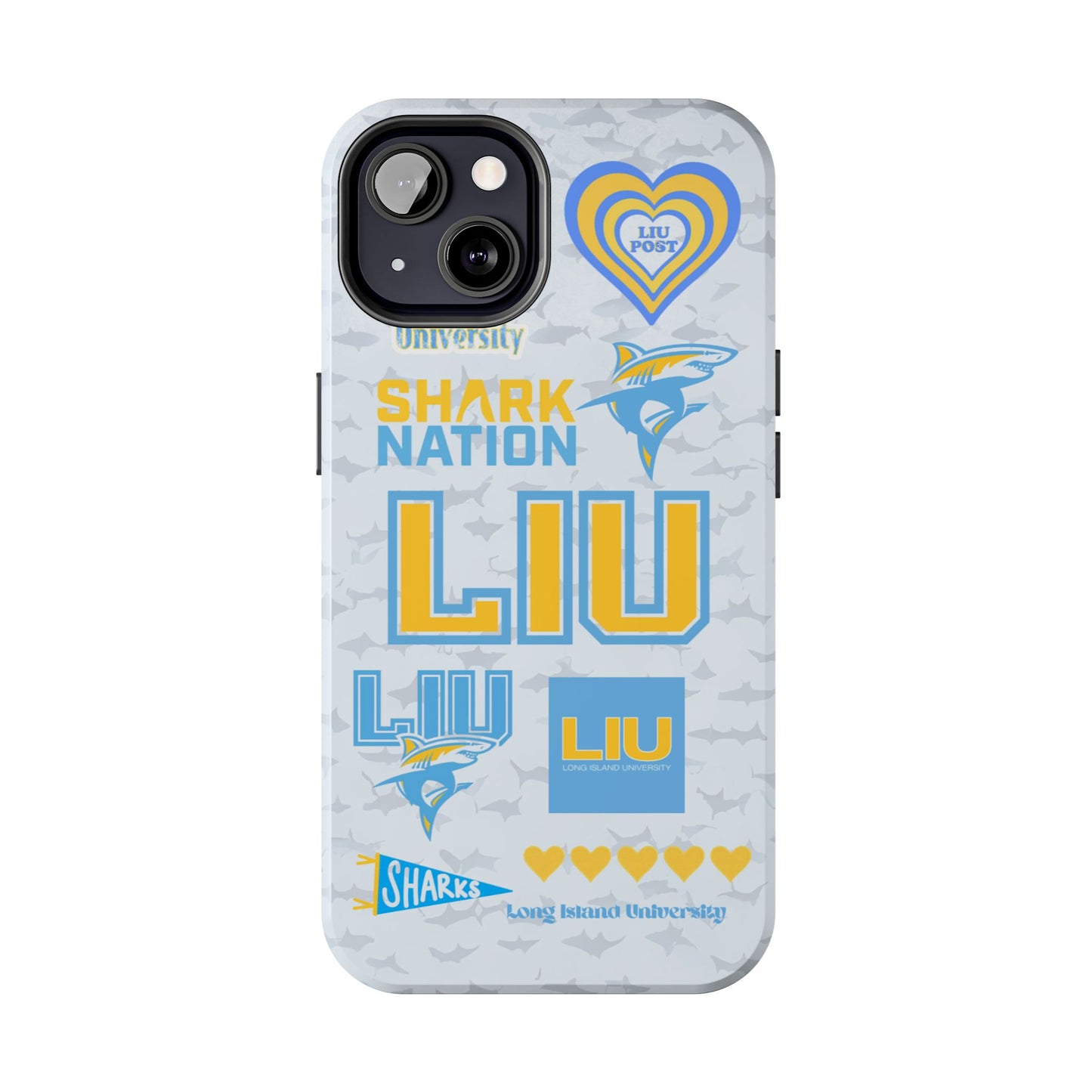 Long Island University