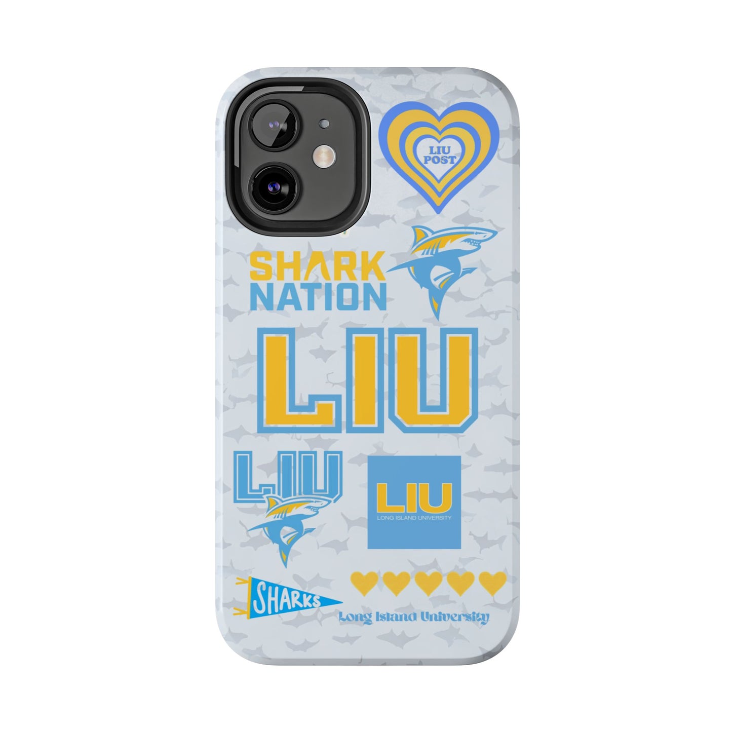 Long Island University