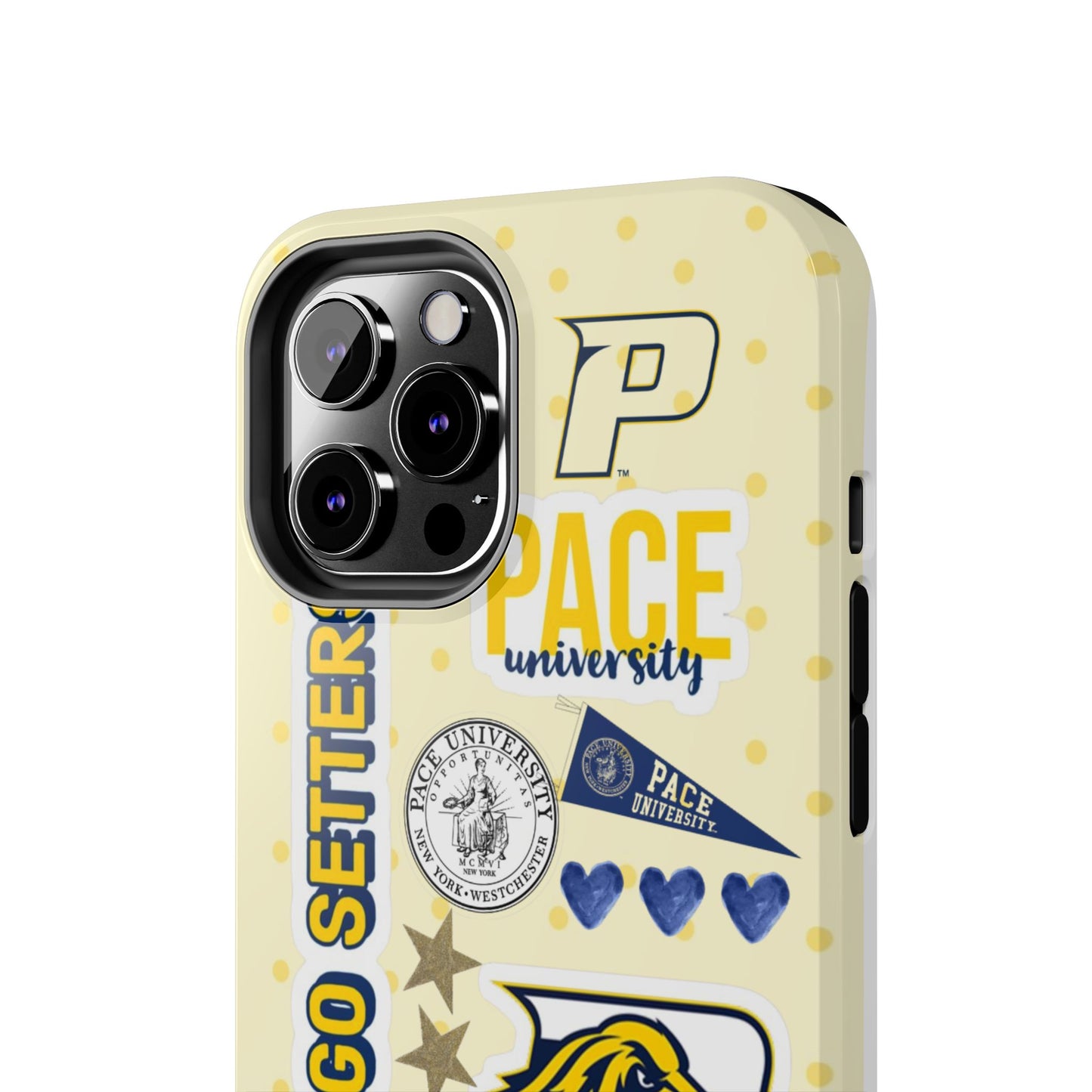 Pace University