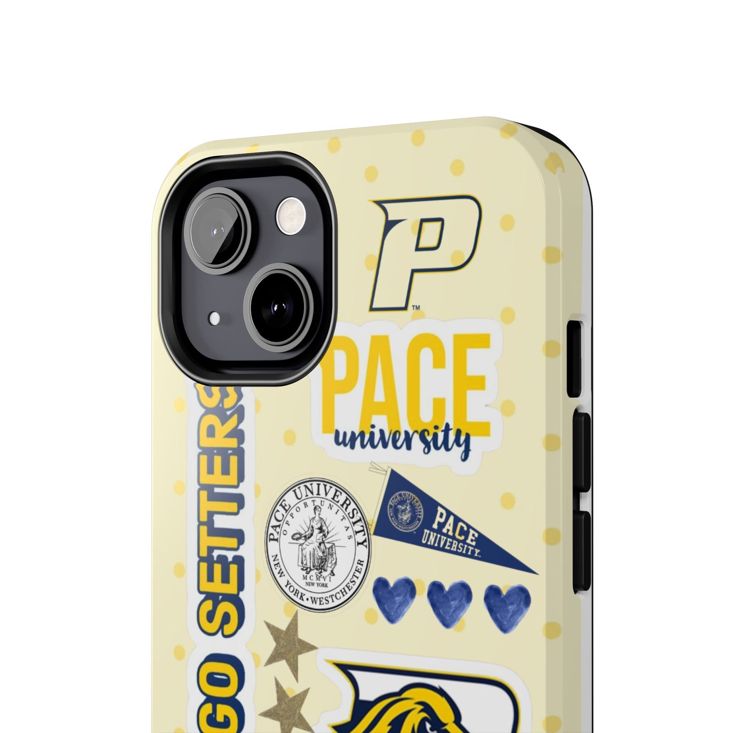 Pace University