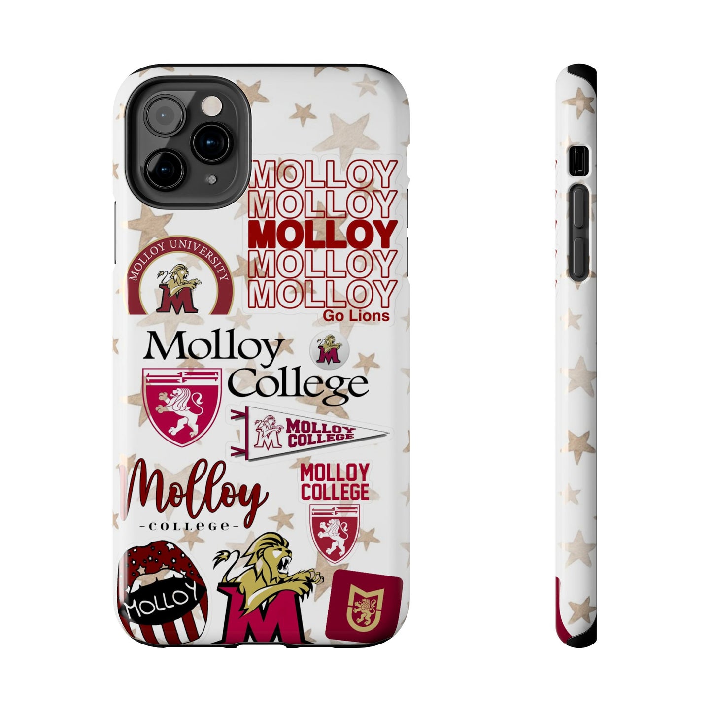Molloy College
