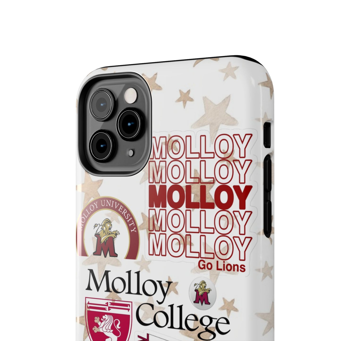 Molloy College