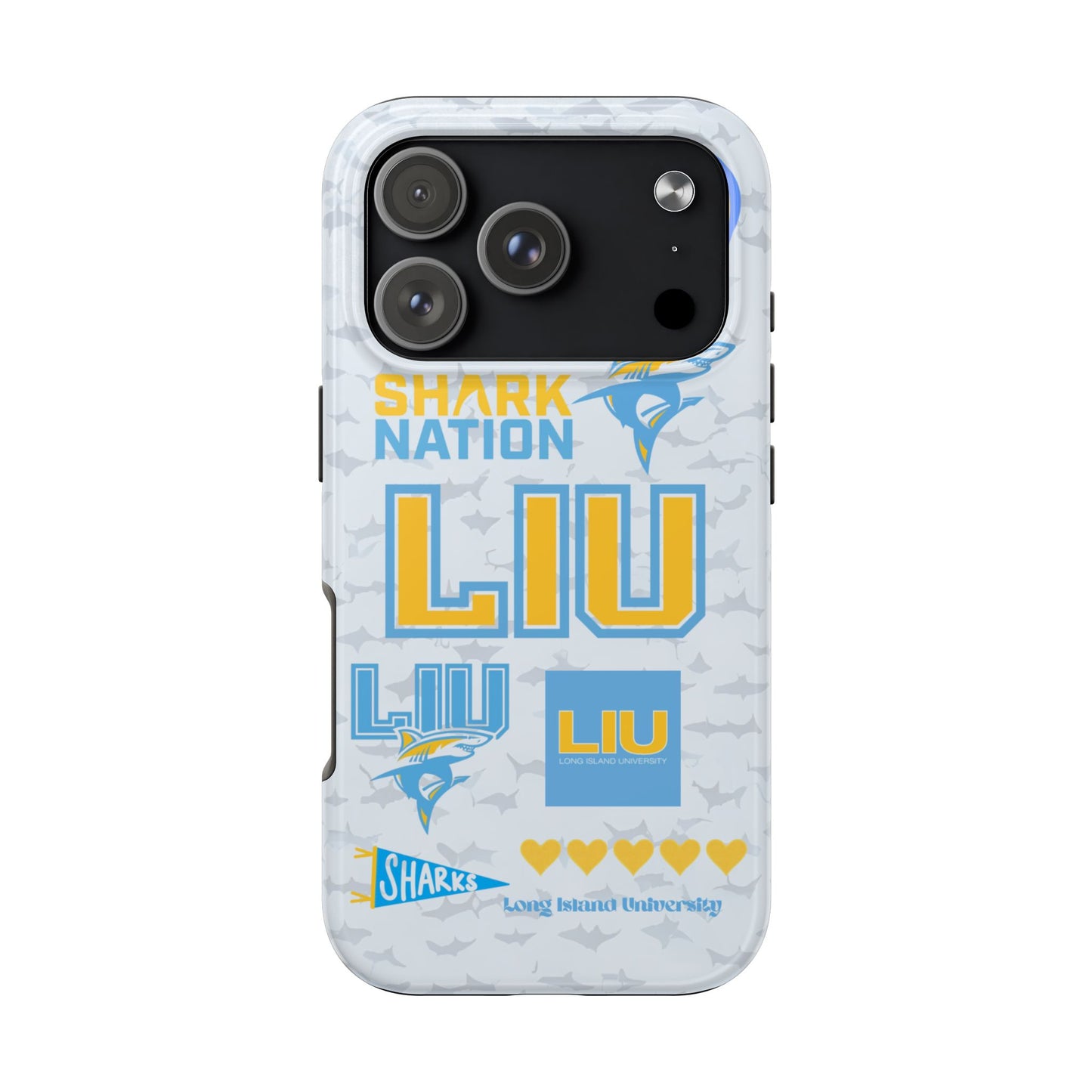 Long Island University