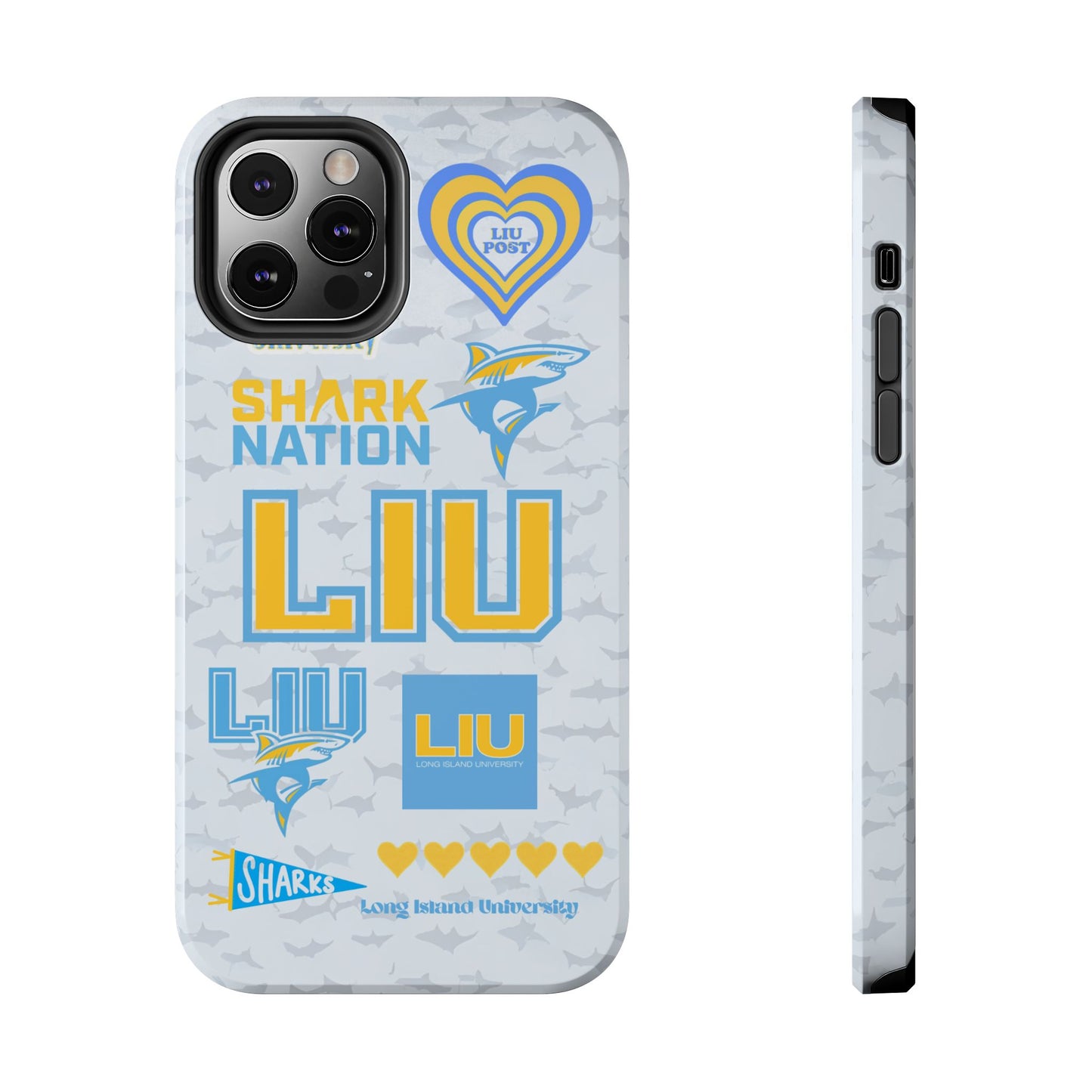 Long Island University