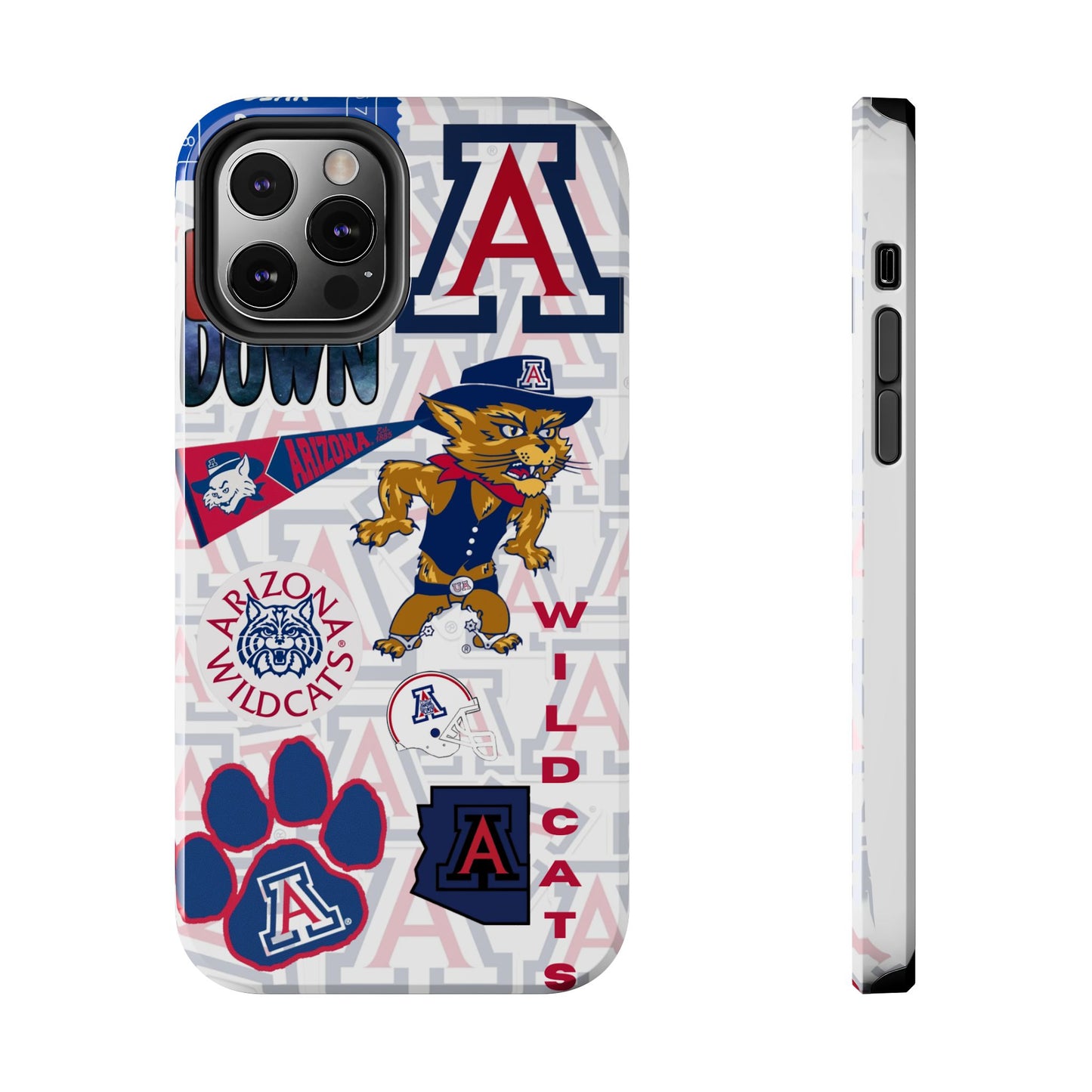 University of Arizona