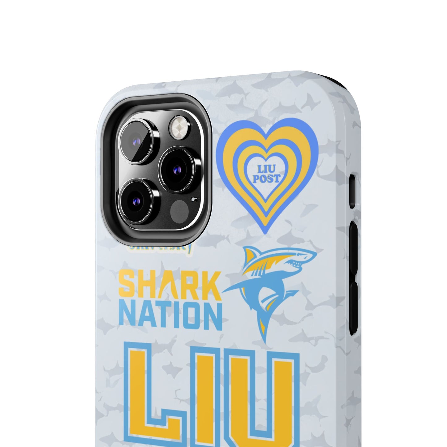 Long Island University