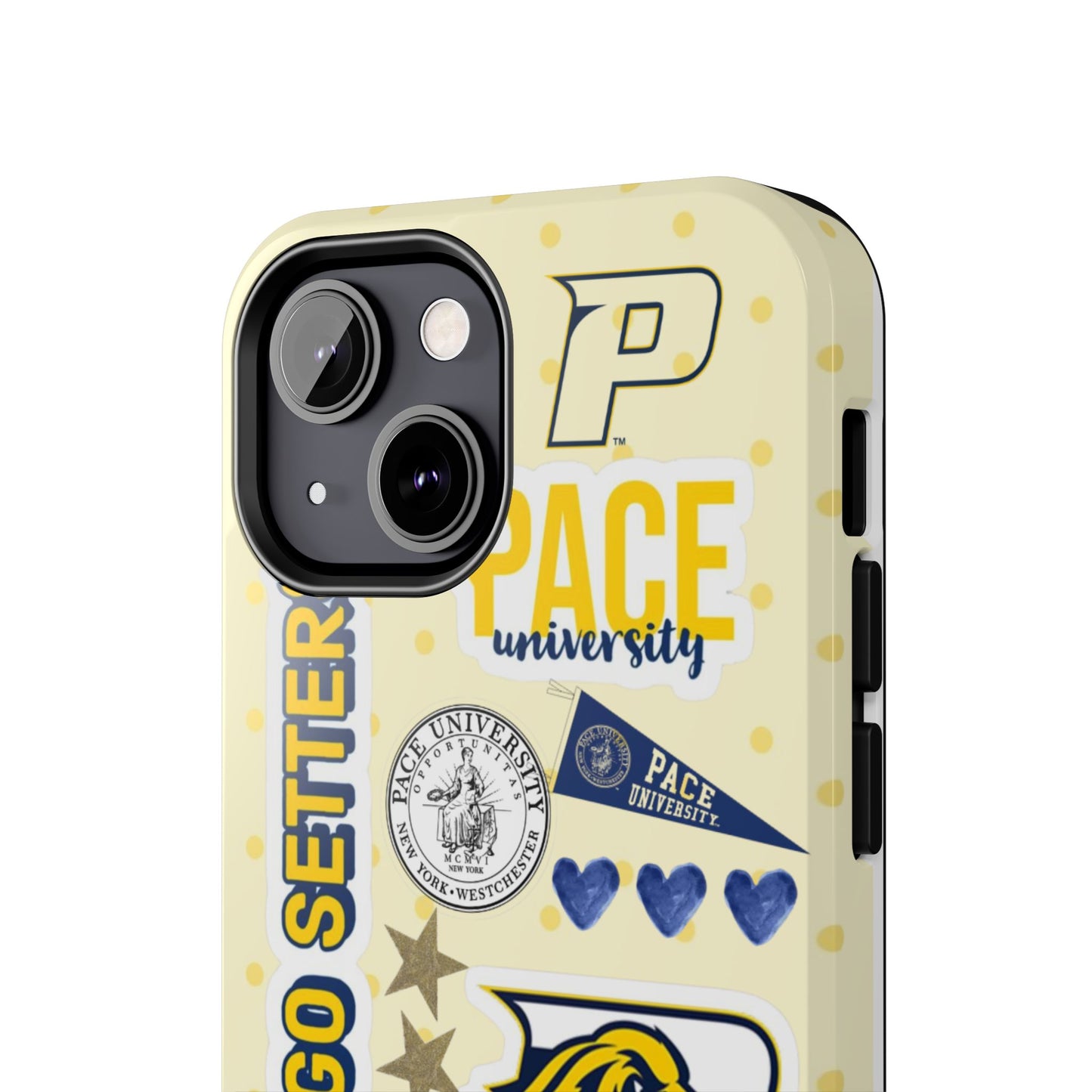 Pace University