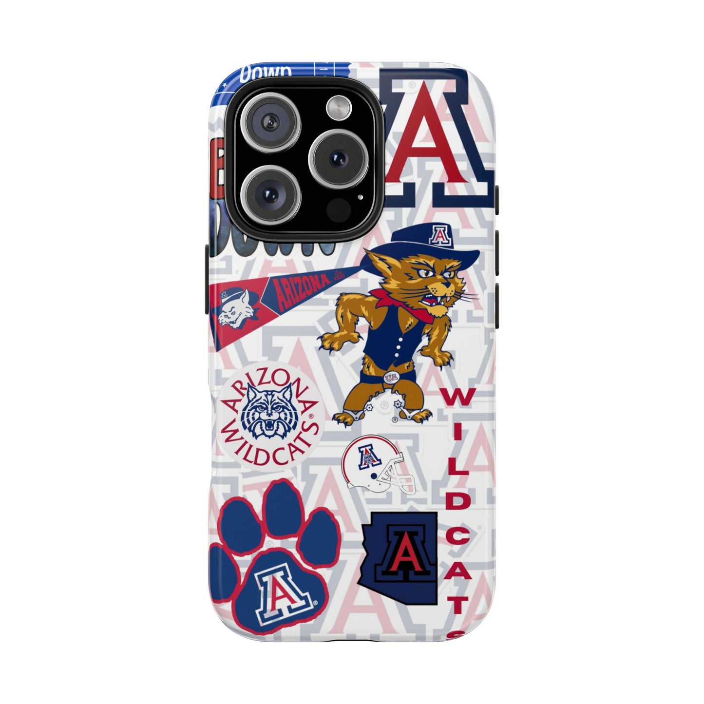 University of Arizona
