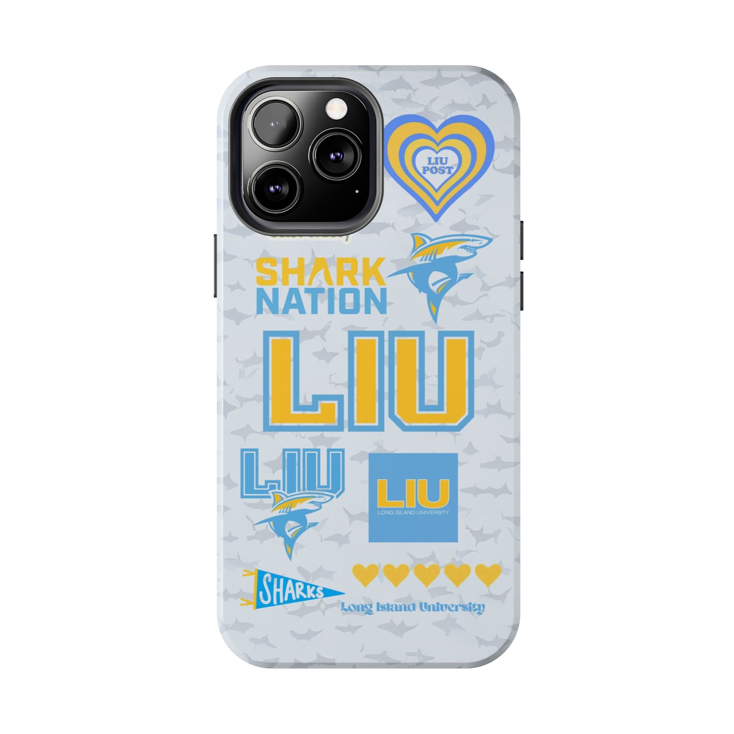 Long Island University