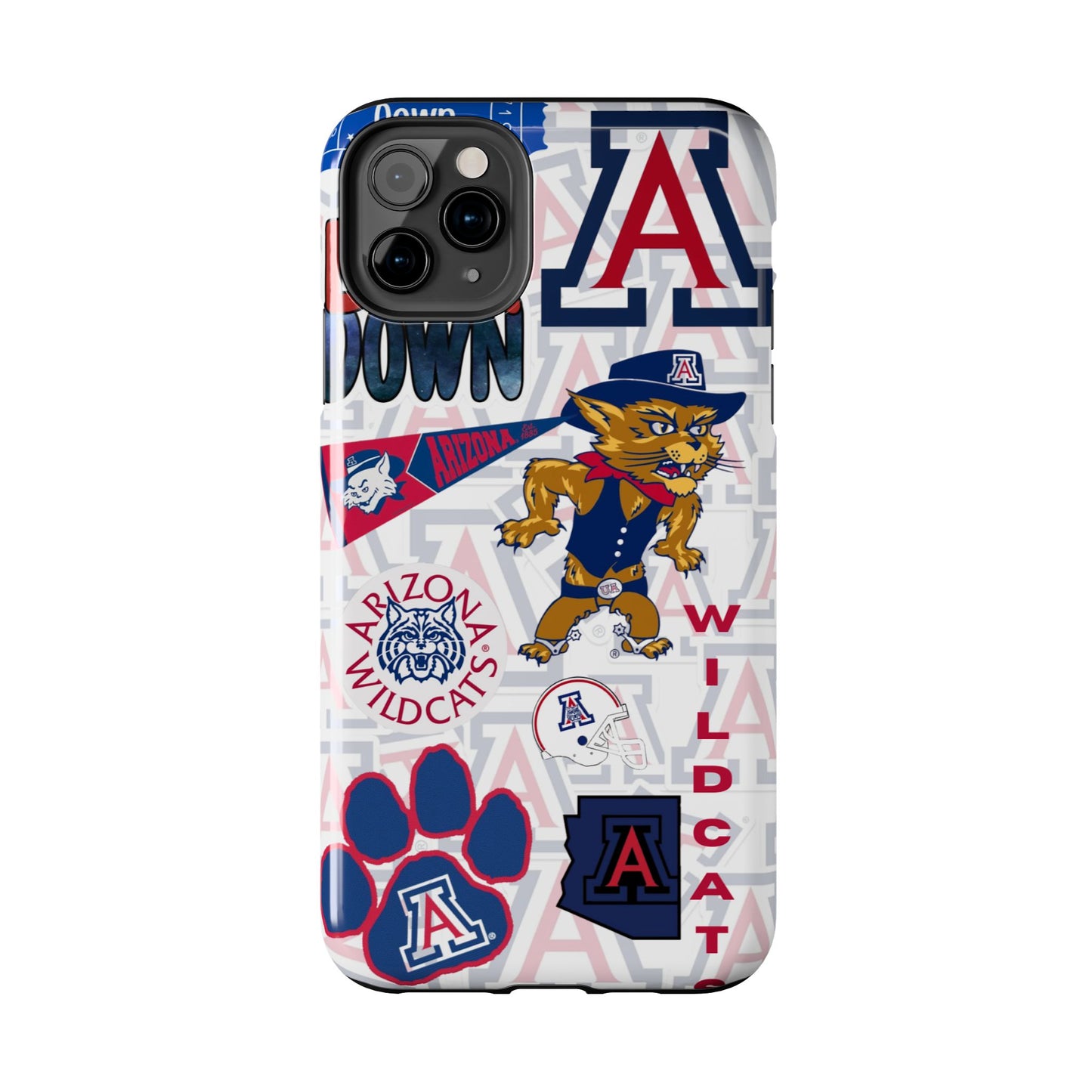 University of Arizona