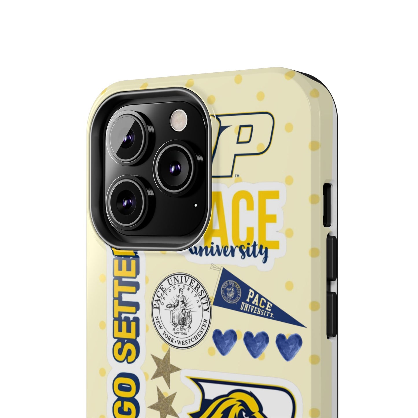 Pace University