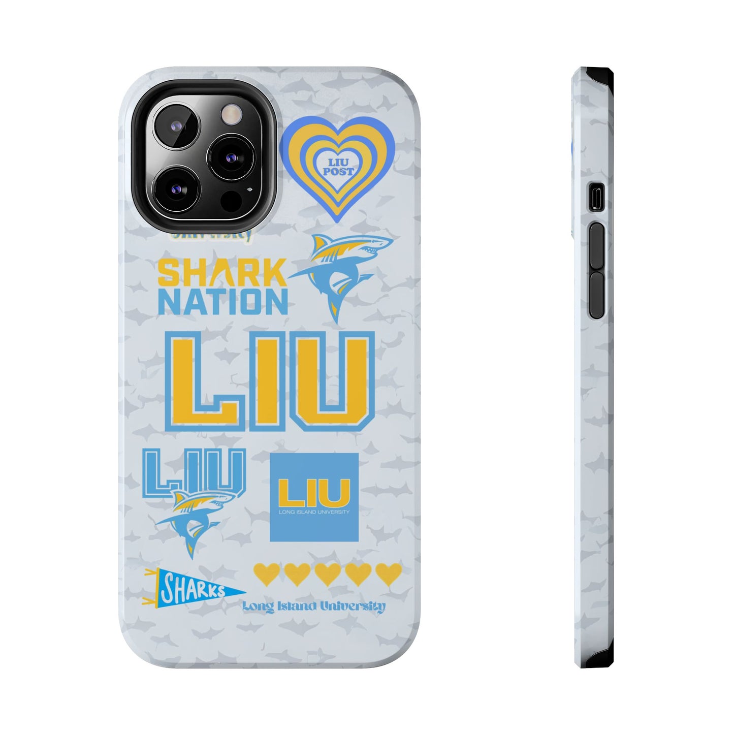 Long Island University