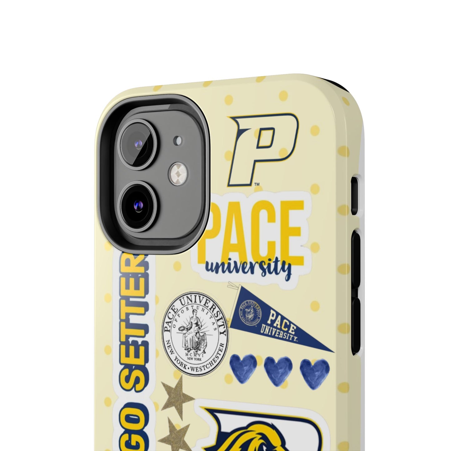 Pace University
