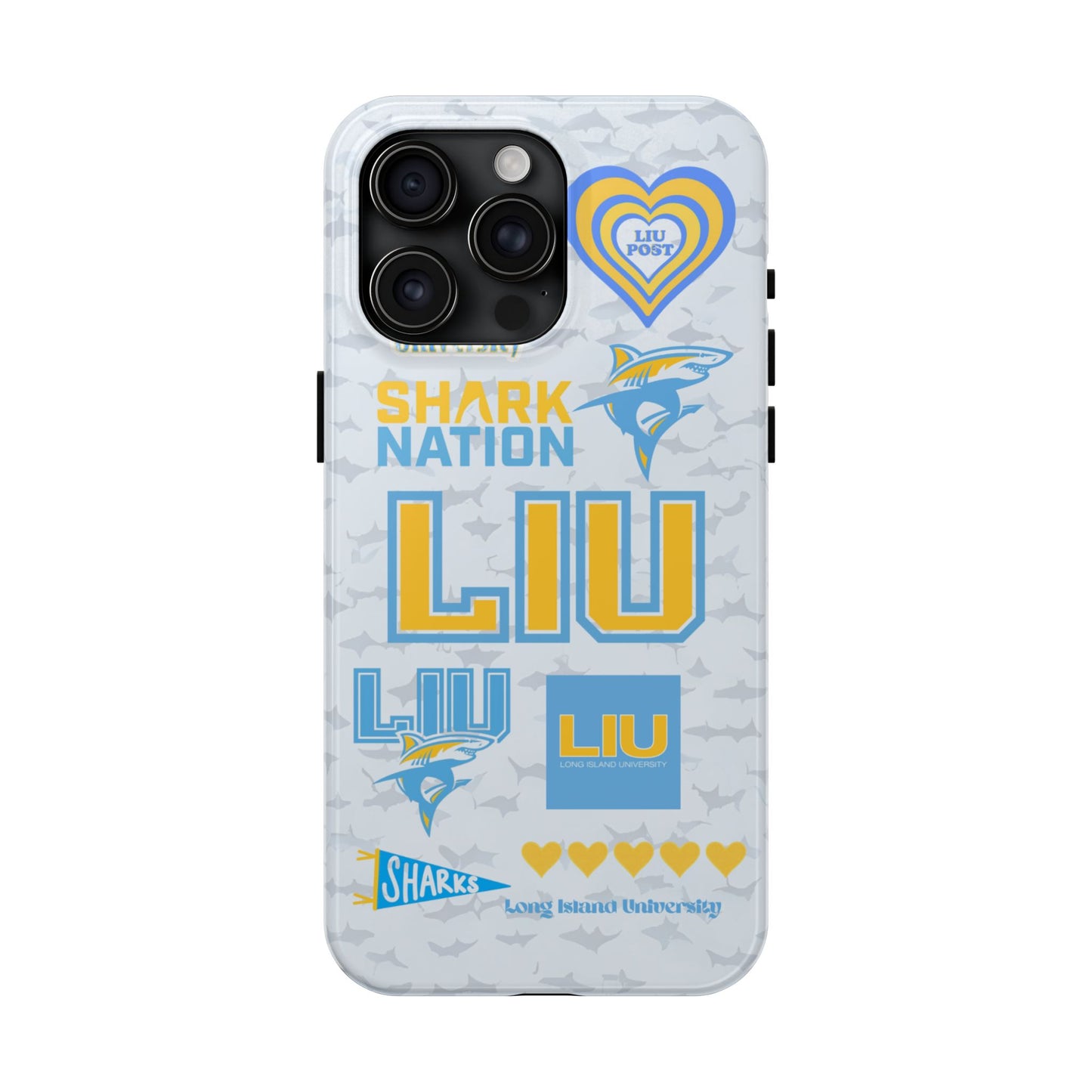 Long Island University