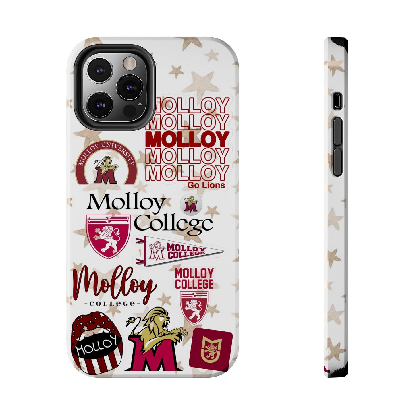 Molloy College