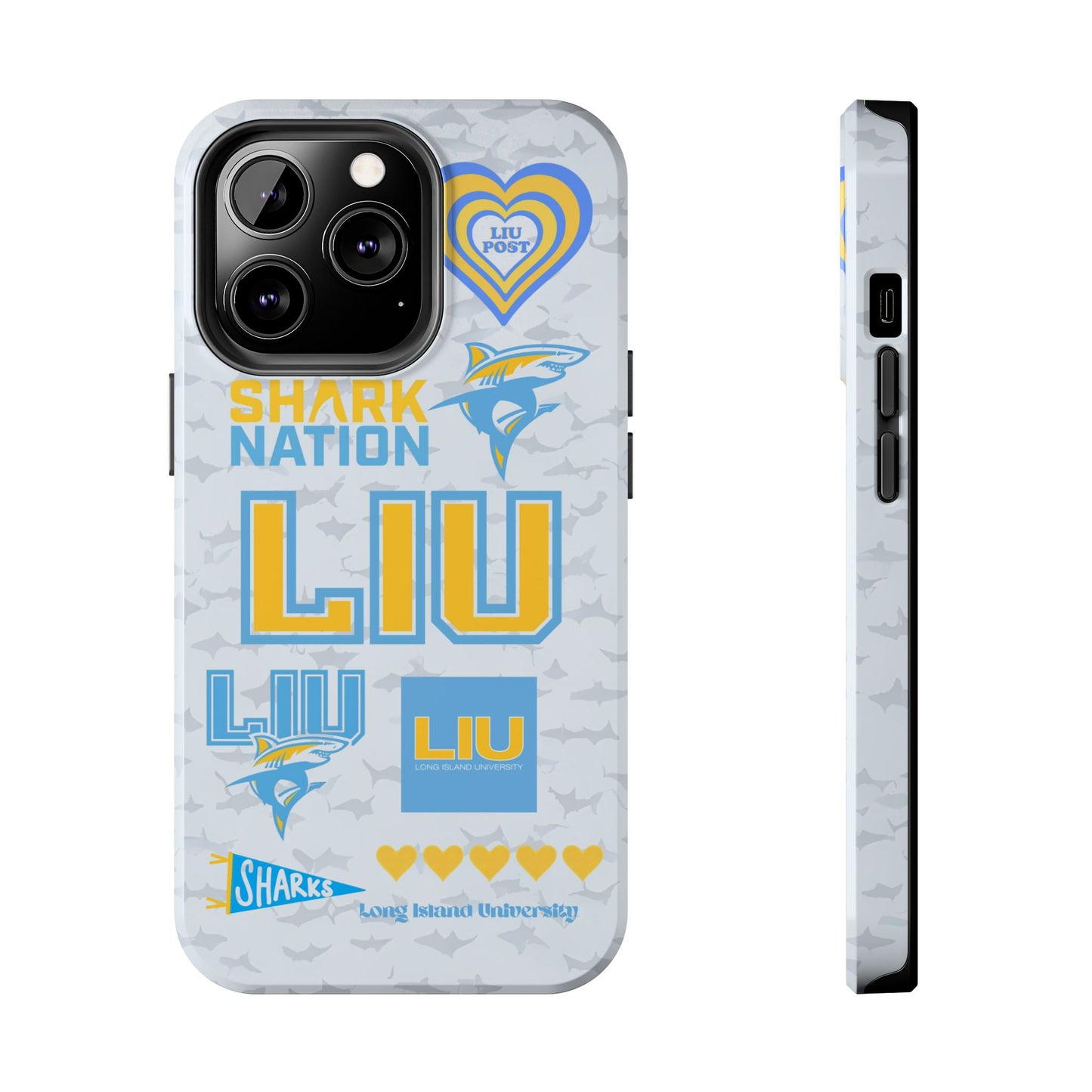 Long Island University