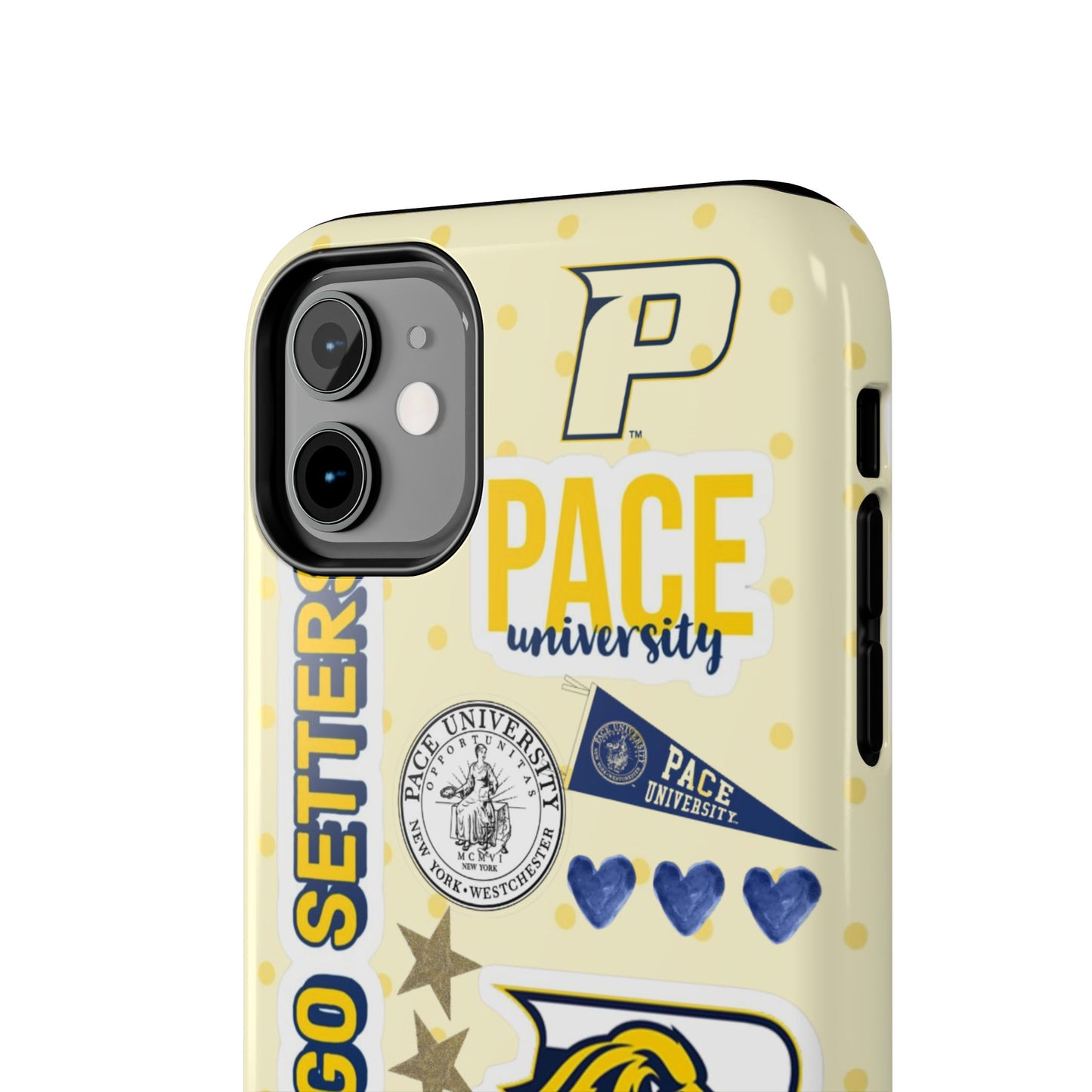 Pace University