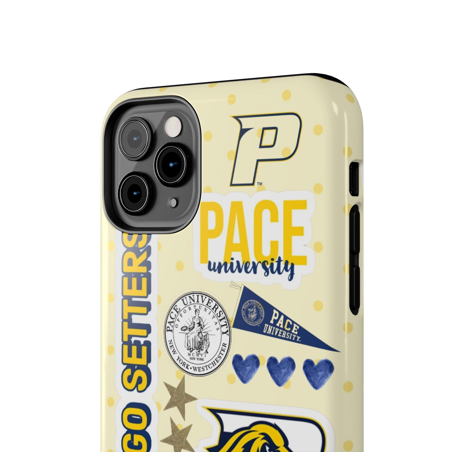 Pace University