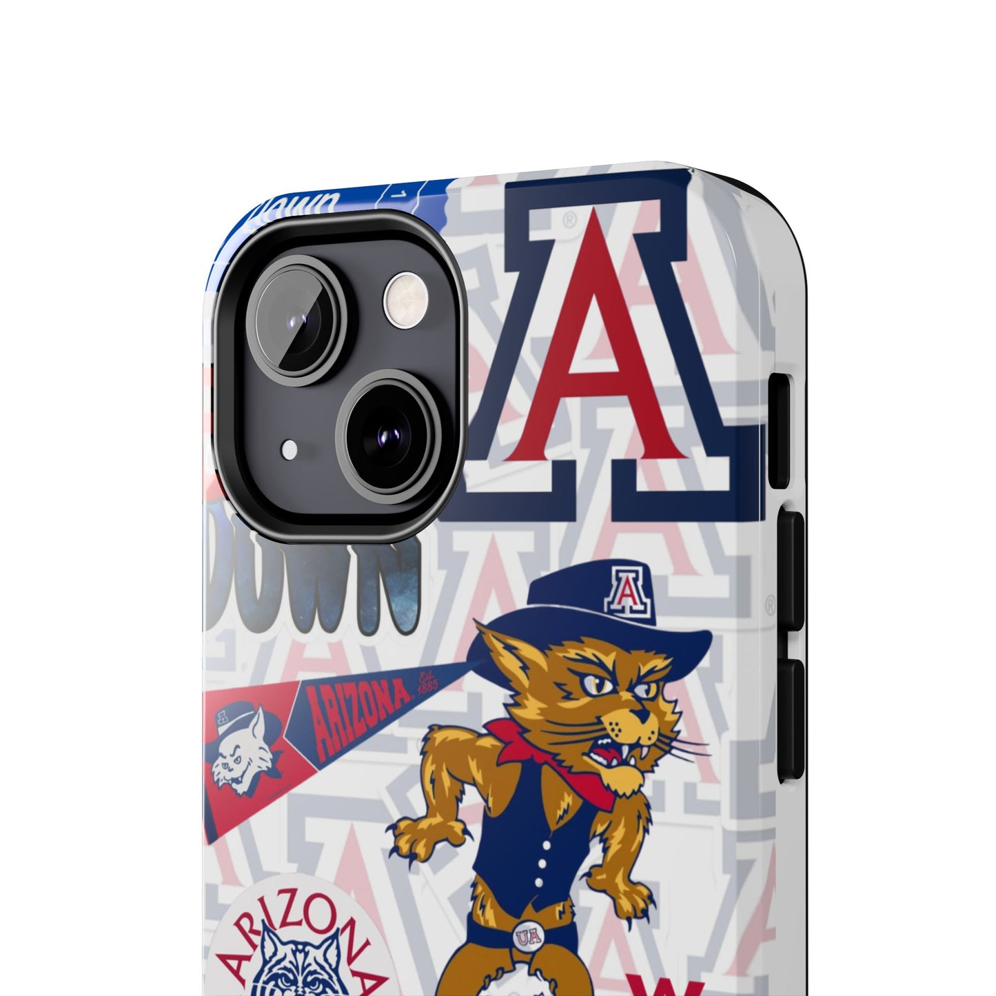 University of Arizona