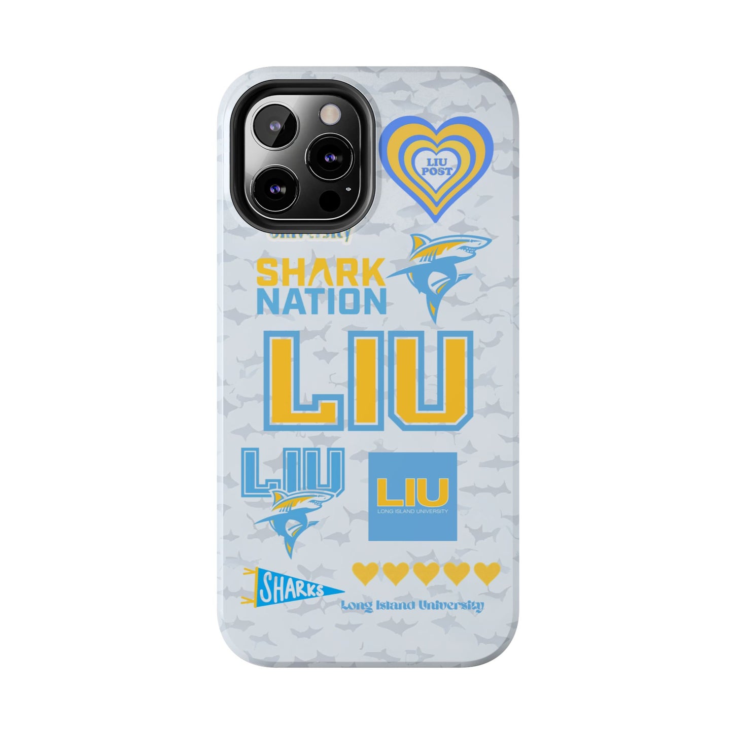 Long Island University